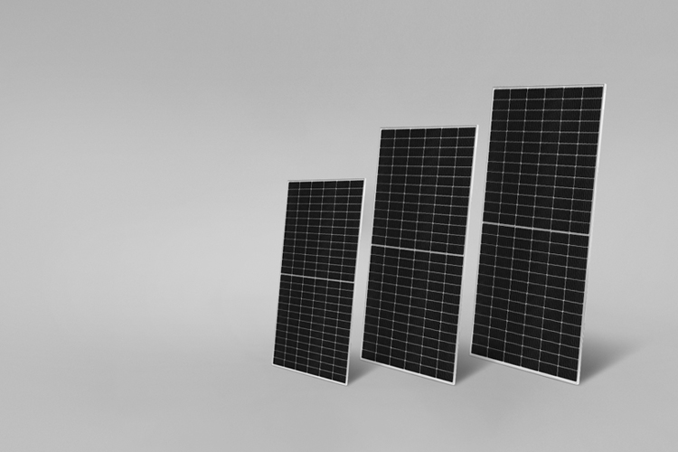 Stake(�й���)�ٷ���վ