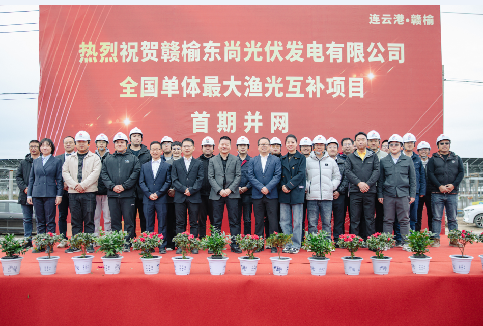 Stake(�й���)�ٷ���վ